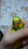 20190925_204633.jpg