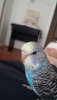 20190928_113616.jpg