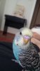 20190928_113614.jpg