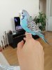 IMG_20190930_160136.jpg