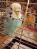 IMG_20191002_064345.jpg