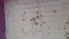 20191009_143854.jpg