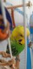 20191010_123353.jpg