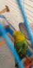 20191010_123419.jpg