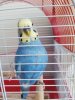 IMG_20191012_170749.jpg