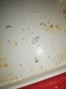 IMG_20191016_183921.jpg