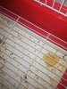 IMG_20191020_211654.jpg