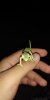 IMG-20191027-WA0001.jpeg