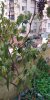 IMG_20191028_172048.jpg