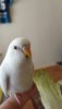 WhatsApp Image 2019-10-29 at 18.24.43 (3).jpeg