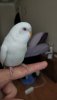 WhatsApp Image 2019-10-29 at 18.24.43.jpeg