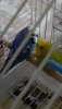 IMG-20191108-WA0009.jpeg