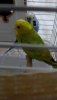 IMG-20191108-WA0007.jpeg