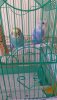 IMG-20191113-WA0026.jpeg