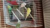 DSC_0112.JPG