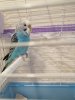 IMG_20191126_171246.jpg