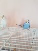 20191207_095853.jpg