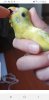 IMG-20191221-WA0062.jpg