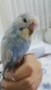 WhatsApp Image 2019-12-27 at 20.55.51.jpeg
