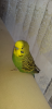 Screenshot_20191229-224013.png