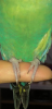 Screenshot_20191229-223923.png