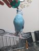 20191117_204900.jpg