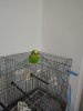 IMG-20200326-WA0060.jpg