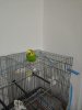 IMG-20200326-WA0064.jpg