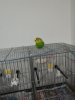 IMG-20200326-WA0063.jpg