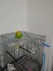 IMG-20200326-WA0066.jpg