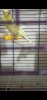 Screenshot_2020-04-30-04-03-27-763_com.miui.videoplayer.jpg