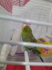 20200523_123804_compress8.jpg