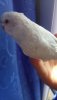 IMG-20200621-WA0030.jpeg