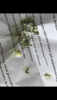 5CA9368B-D156-4E86-8ED8-8D9516F706DB.png