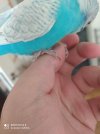 IMG_20201028_124653.jpg