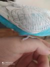 IMG_20201028_123944.jpg