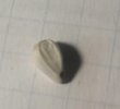 IMG_20201101_004941.jpg