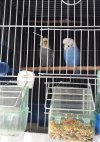 20201101_113631.jpg