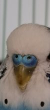 IMG_20201109_133115.jpg