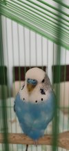 IMG_20201109_133059-min.jpg