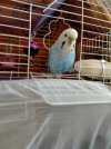IMG-20201115-WA0005.jpg