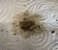 0E8D8225-7760-460F-A098-158C01CC352F.jpeg