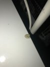 IMG-20201122-WA0104.jpg