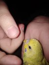 IMG-20201125-WA0003.jpg