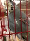 18D5E306-D026-498A-AA9F-BD947CC8B621.jpeg