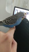 SAVE_20201203_204452.jpg