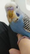 SAVE_20201203_204510.jpg