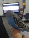 IMG_20201203_204932.jpg