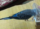 IMG_20201203_205944.jpg