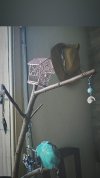 IMG_20201206_160445_209.jpg